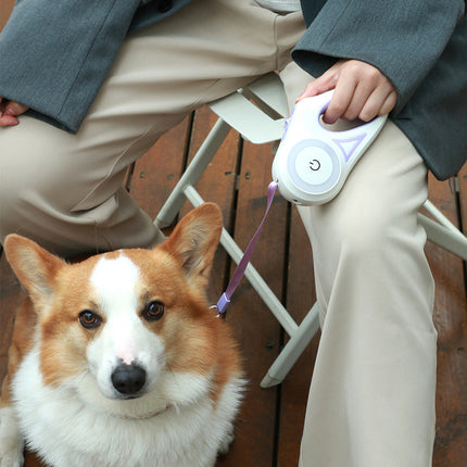 Retractable Dog Leash & Collar Set – Automatic Lock, Telescopic Pet Traction Rope | Petpexi