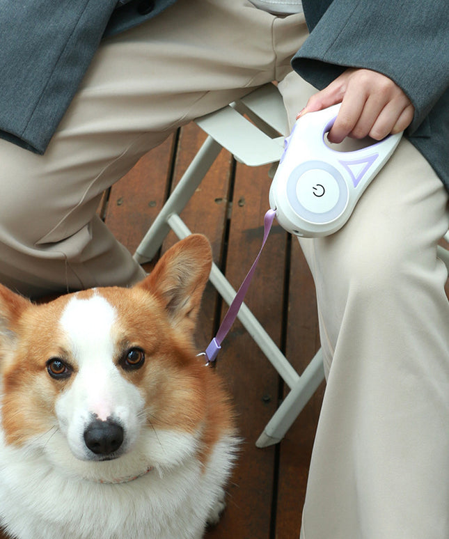 Retractable Dog Leash & Collar Set – Automatic Lock, Telescopic Pet Traction Rope | Petpexi