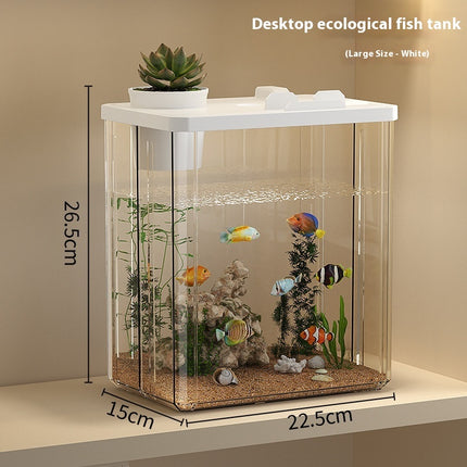 Desktop Small Thickened Plastic Fish Tank – Household Aquarium | PetPexi