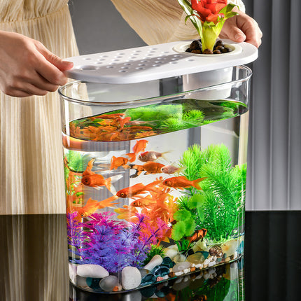 Acrylic Transparent Ecological Goldfish Tank – Hydroponic & Soil Design | PetPexi