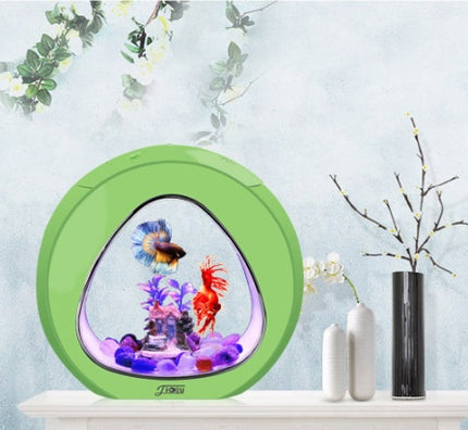 Desktop Acrylic Fish Tank Aquarium – Small & Large Sizes | PetPexi