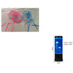 B Set / USB
