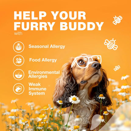 Dog Allergy Relief Chews – Anti-Itch & Skin Relief – Seasonal Allergies & Hot Spots Support – Immune Health – Salmon Oil – Free U.S. Shipping