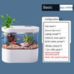 White Base / 1to11 PCs
