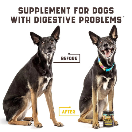 Probiotics for Dogs - Digestive Support, Itchy Skin Relief, Immunity Boost - 180 Duck Flavor Chews | www.petpexi.com