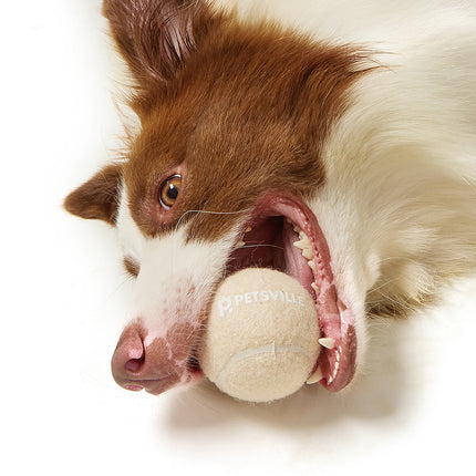Outdoor Interactive Tennis Dog Toys – Durable Fetch & Chew Balls | www.petpexi.com