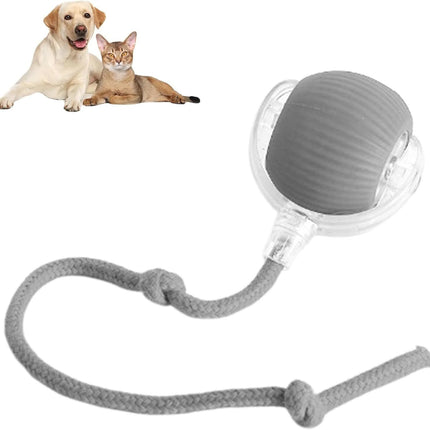 Smart Rolling Ball Toy for Dogs & Cats – Interactive 360° Motion with Rope | petpexi.com
