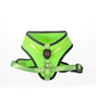 Green / L
