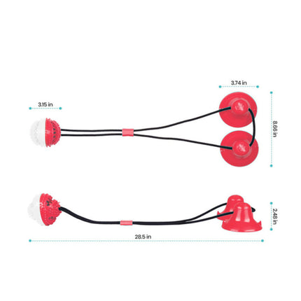 Suction Cup Molar Toy for Dogs - Petpexi Chew & Clean Ball