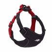 Black red / L