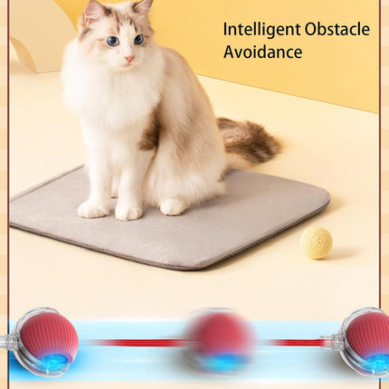 Smart Rolling Ball Toy for Dogs & Cats – Interactive 360° Motion with Rope | petpexi.com