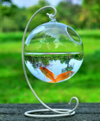 Glass ball23 white bracket
