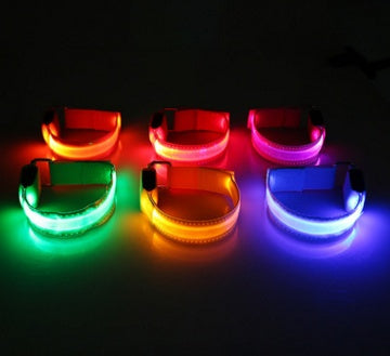 Safety LED Dog Collar – Waterproof Fiber Optic Light-Up Collar in Multiple Colors | Petpexi
