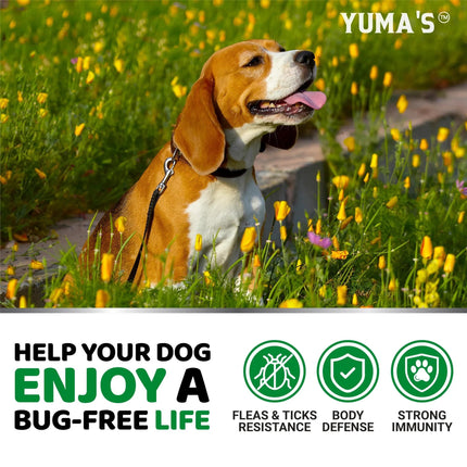 Natural Flea and Tick Prevention for Dogs – 170 Chewables – Safe Treatment for All Breeds and Ages – Made in USA – Fast & Free Shipping at www.petpexi.com