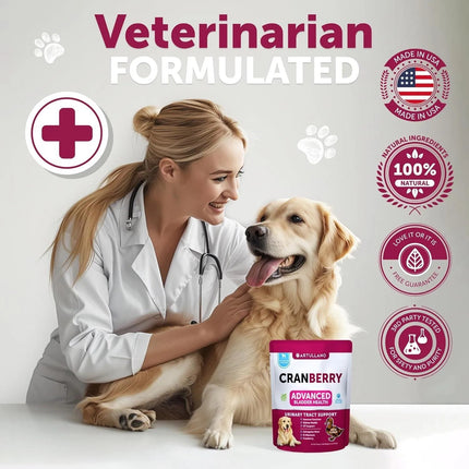 Dog UTI Treatment Cranberry Supplement – Bladder Control & Kidney Support – 70 Soft Chews for Dogs
