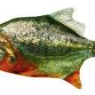 Electric Pomfret