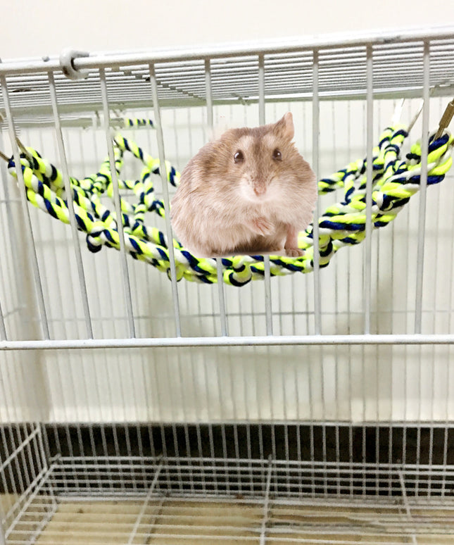 Parrot Climbing Net – Soft & Eco-Friendly Hammock for Small Pets