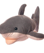 Shark thirty centimeters