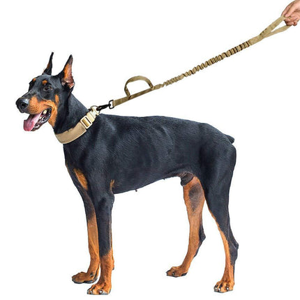 Tactical Training Dog Leash with 2 Control Handles - petpexi.com
