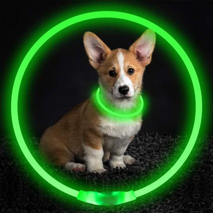 Pet Flashing USB Rechargeable Glowing Dog Collar – Safety Optical Fiber LED Necklace | Petpexi