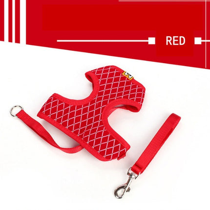 Dog Leash & Cat Leash – Durable Polyester Traction Belt | Petpexi