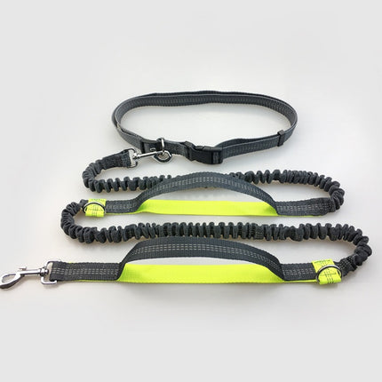 Multi-Function Reflective Elastic Dog Leash with Waist Belt – Hands-Free Control | Petpexi