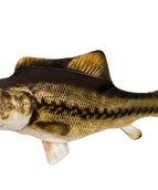 Electric big mouth black donke