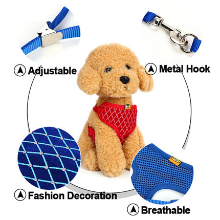 Dog Leash & Cat Leash – Durable Polyester Traction Belt | Petpexi