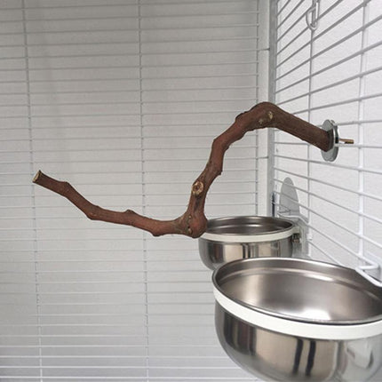 Bird Standing Stick – Natural Grape Wood Habitat for Parrots | PetPexi