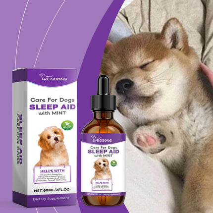 Dog Sleep Care Drops – Natural Sleep Support for Stable Nighttime Rest | Petpexi