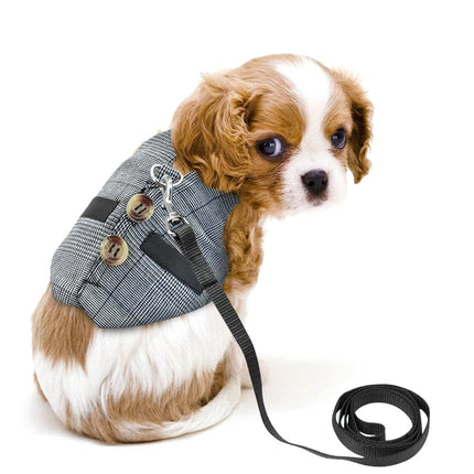 Rabbit Leash & Dress Chest Strap – Comfortable Pet Harness for Rabbits | Petpexi