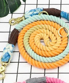 Blue orange