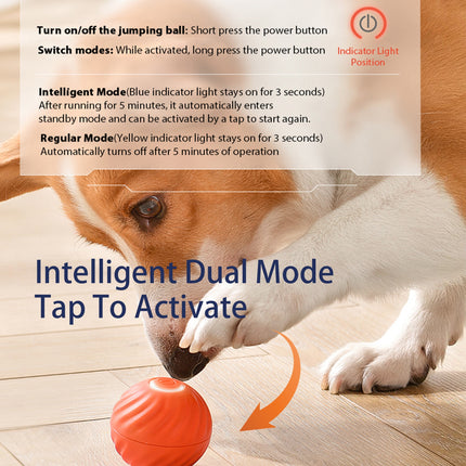 Interactive Bouncing Ball for Dogs - Self-Moving, USB Rechargeable Smart Toy