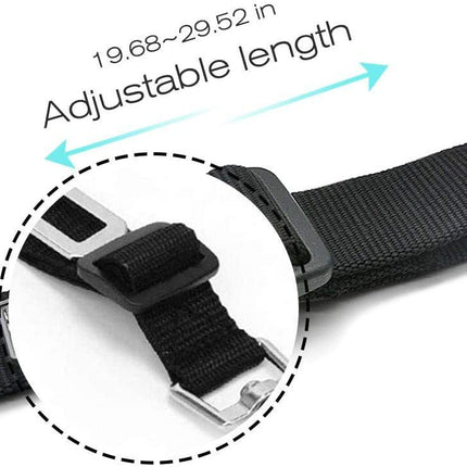 Retractable Dog Safety Belt – Durable Car Safety Buckle for Pets | PetPexi