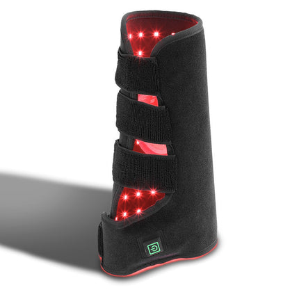 Portable Phototherapy for Horse Legs – Equine Recovery Device | www.petpexi.com