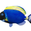 Electric Blue Tail Thornback