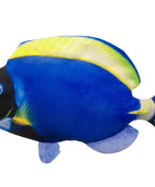 Electric Blue Tail Thornback