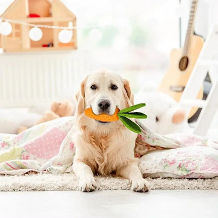 Carrot Dog Chew Toy – Durable Rubber Plush Squeaky Dog Toy for Boredom | www.petpexi.com