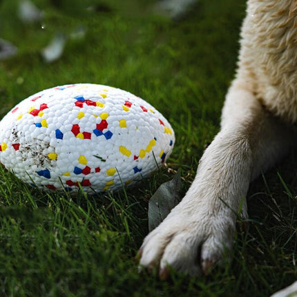 Teeth-Resistant Pet Dog Chewing Toy Football – Durable Interactive Chew Ball | www.petpexi.com