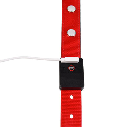 Luminous Waterproof Adjustable Cat and Dog Collar – Bright TPU Safety Collar | Petpexi