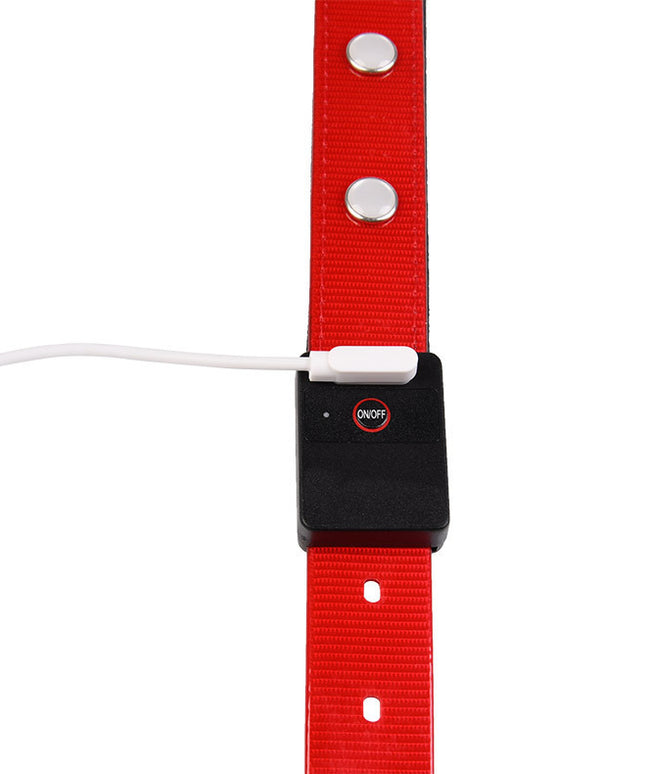 Luminous Waterproof Adjustable Cat and Dog Collar – Bright TPU Safety Collar | Petpexi