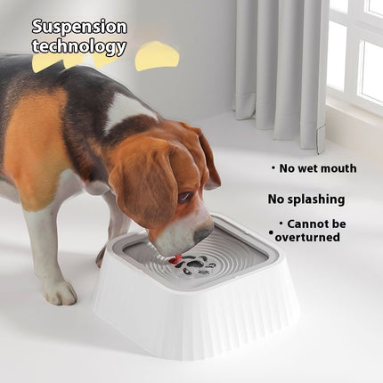 Splash-Proof Floating Pet Water Bowl – No-Wet Mouth Design | Petpexi