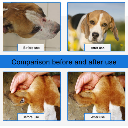 Pet Wound Care Spray for Dogs & Cats – Fast Healing & Skin Relief | Petpexi