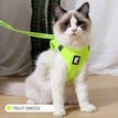 Fruit green / L