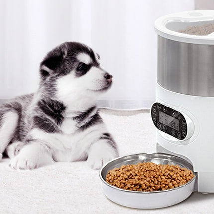 Smart APP Pet Feeder for Cats & Dogs – Automatic Food Dispenser with Stainless Steel Bowl, Voice Recording & Timer | Free USA Shipping | petpexi.com