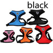 Black / L