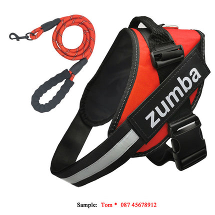 Personalized Reflective Breathable Adjustable Dog Harness and Leash Set | petpexi.com