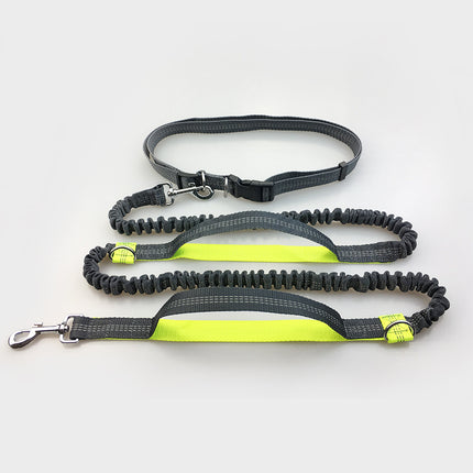 Multi-Function Reflective Elastic Dog Leash with Waist Belt – Hands-Free Control | Petpexi