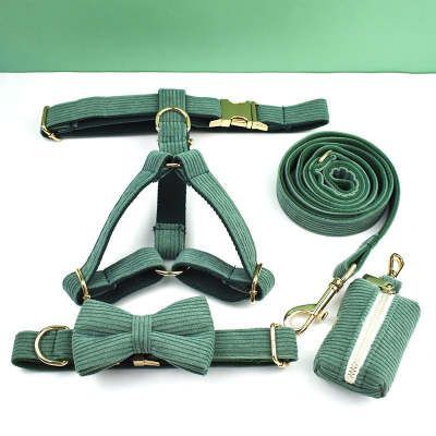 Green Velvet Dog Collar & Leash Set – Elegant Christmas Design with Gold Buckle | Petpexi