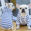 Blue / 2XL